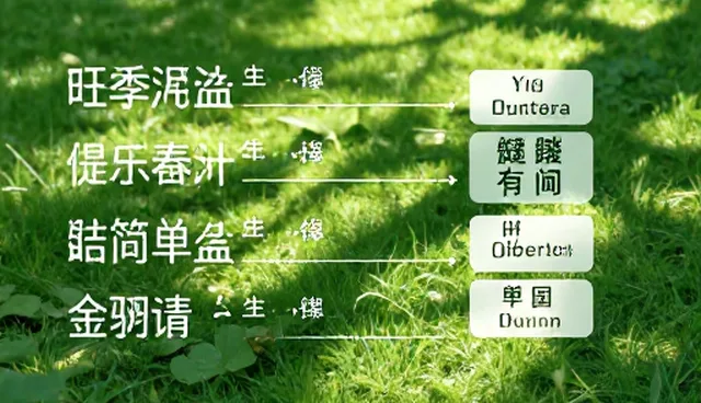 提示词优化器codex的使用限制与场景切换提示词套装的适用条件