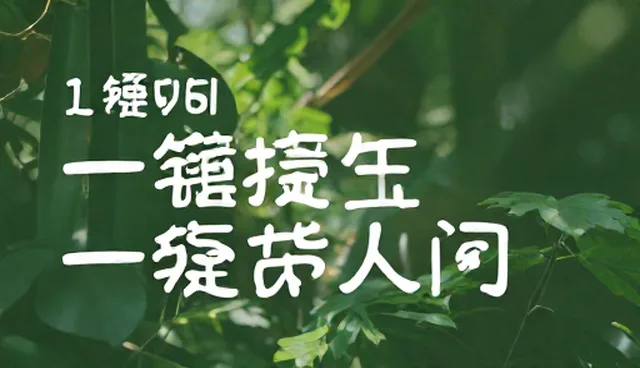 生日祝福提示词:电商运营中的有效维护方式